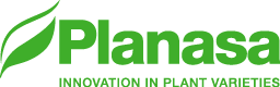 Logo Planasa